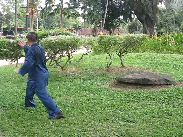 Wu Yu Xiang Style Taijiquan